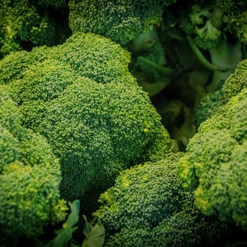 Broccoli