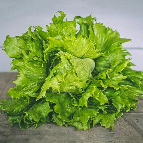 Lettuce